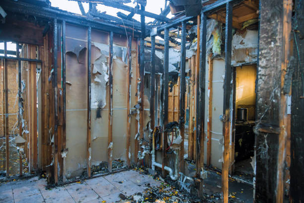 Professional Odor Removal technician working in Teaticket, MA